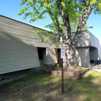 Cedarwood Estates ico