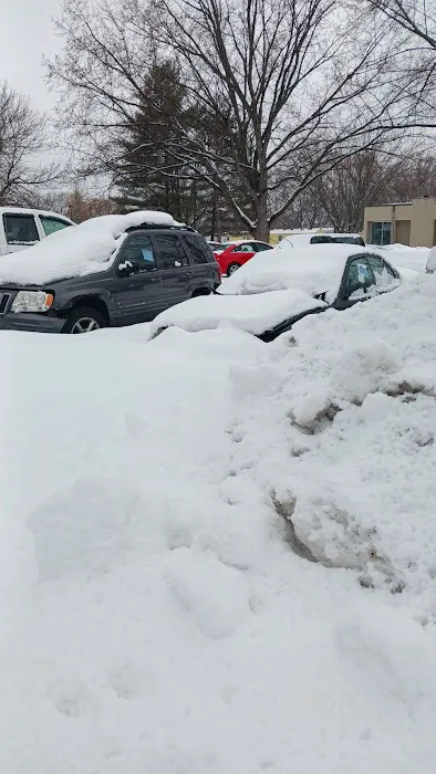 Park of Four Seasons Picture 4