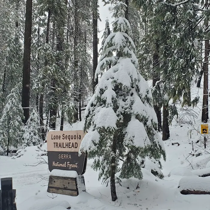 Lone Sequoia Campground Picture 5