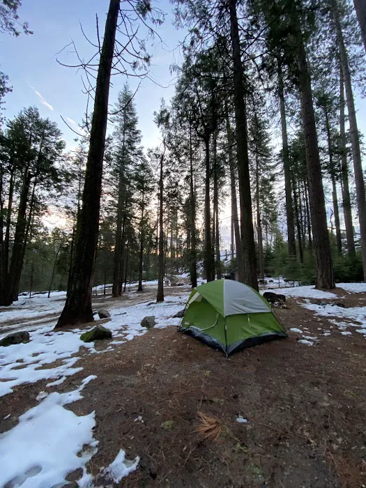 Lone Sequoia Campground Picture 2