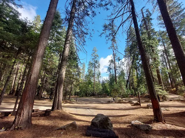 Lone Sequoia Campground Picture 1
