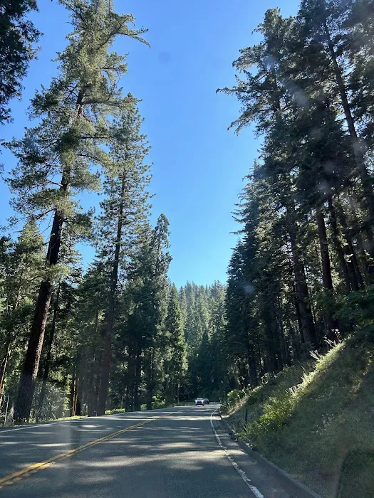 Lone Sequoia Campground Picture 7