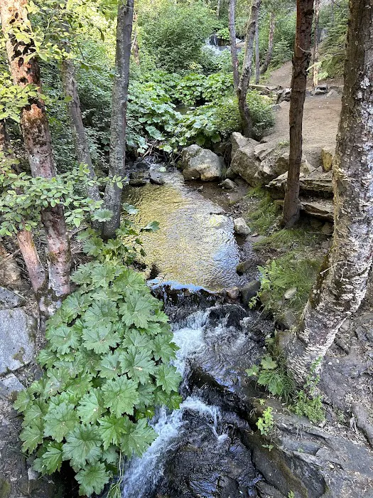 Lone Sequoia Campground Picture 9