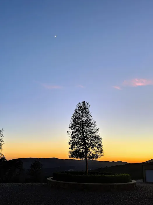 Old Yosemite Base Camp Picture 6