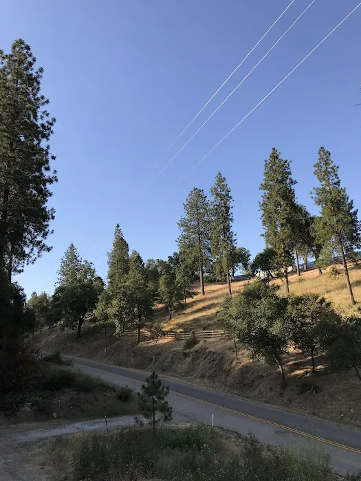 Old Yosemite Base Camp Picture 4