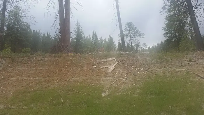 Summerdale Campground Picture 6