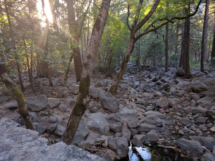 Summerdale Campground Picture 8