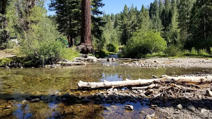 Big Sandy Campground Picture 2