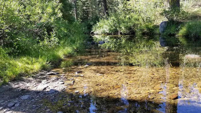 Big Sandy Campground Picture 4