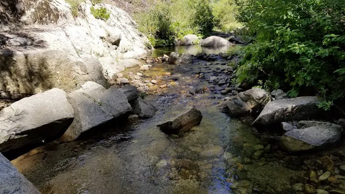 Big Sandy Campground Picture 6