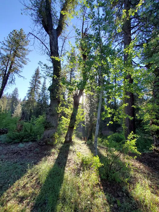 Big Sandy Campground Picture 10