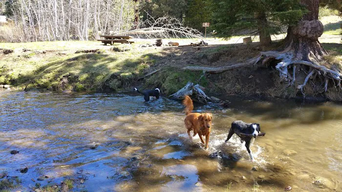 Big Sandy Campground Picture 8