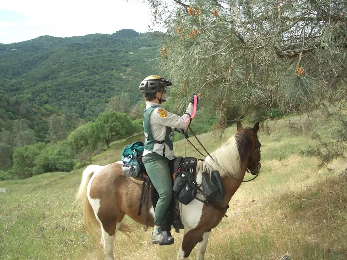 Orestimba Corral Picture 4