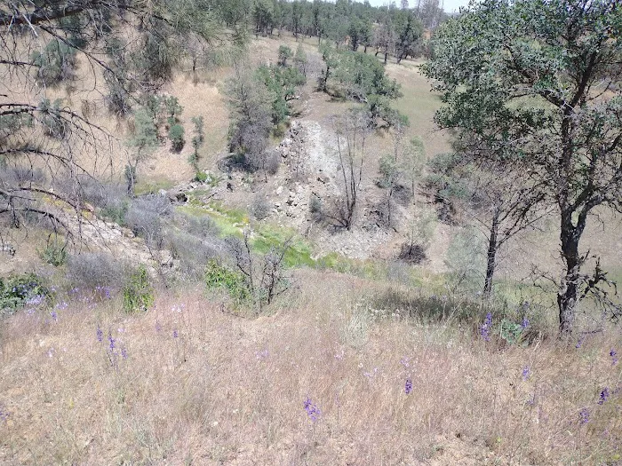 Orestimba Corral Picture 9