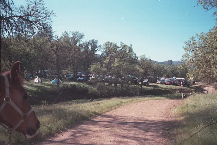 Orestimba Corral Picture 7