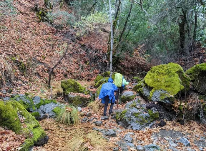 Willow Ridge Trail Camp Picture 3