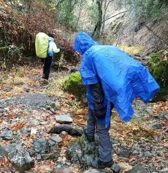 Willow Ridge Trail Camp Picture 4