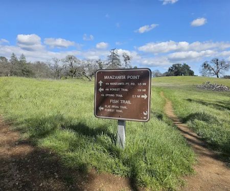 Manzanita Point Camps