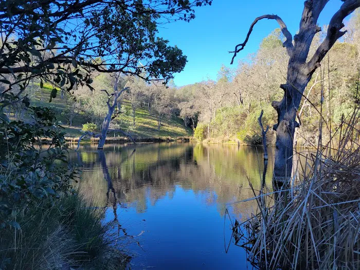 Frogs Lake Camp Picture 1