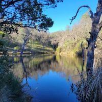 Frogs Lake Camp ico