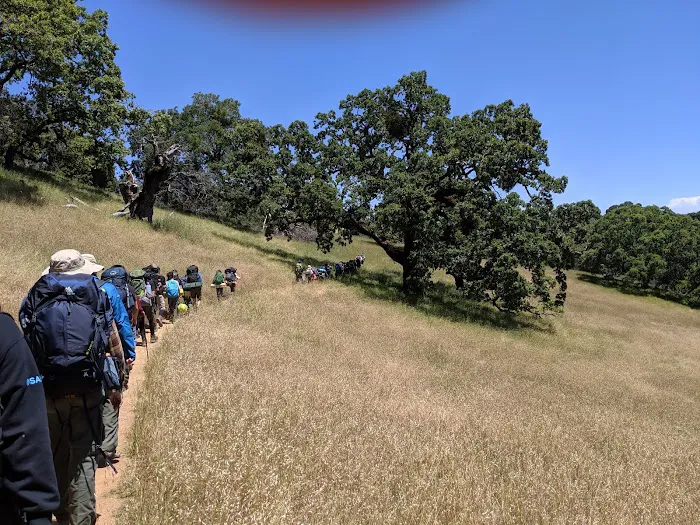Lion Spring Camp Picture 6