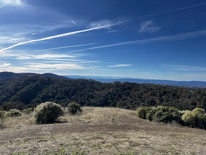 Coe Ranch Campground Picture 2