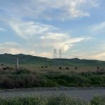 Medeiros Campground - Primitive