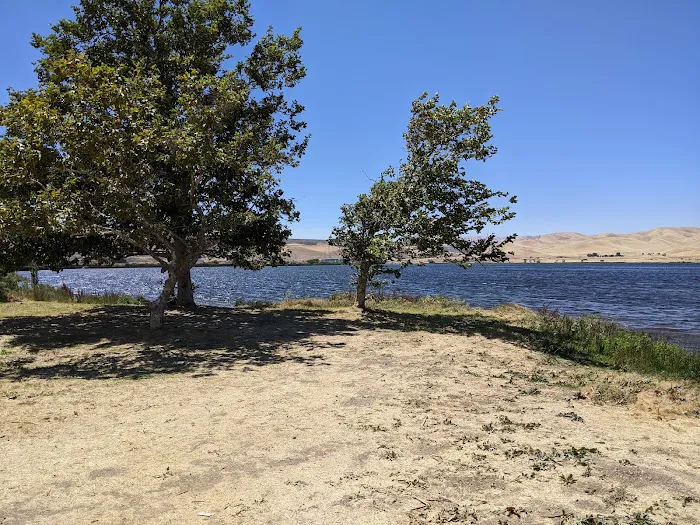 Medeiros Campground - Primitive Picture 5