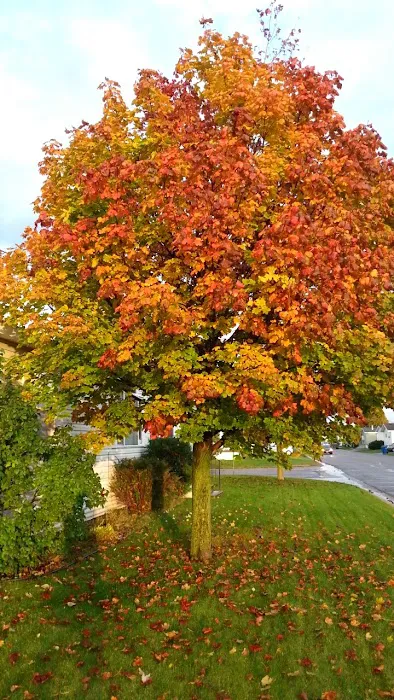 Woodhaven Manufactured Home Picture 6