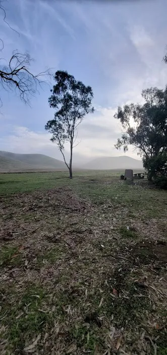 Basalt Campground Picture 7