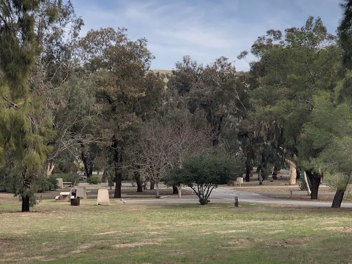 Basalt Campground Picture 4