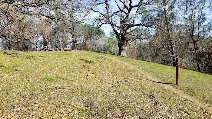 Maggie’s Half Acre Camp Picture 3