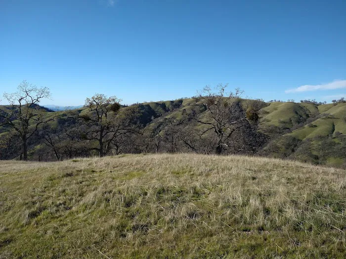 Doe Canyon Horse Camp Picture 3