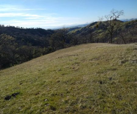 Doe Canyon Horse Camp