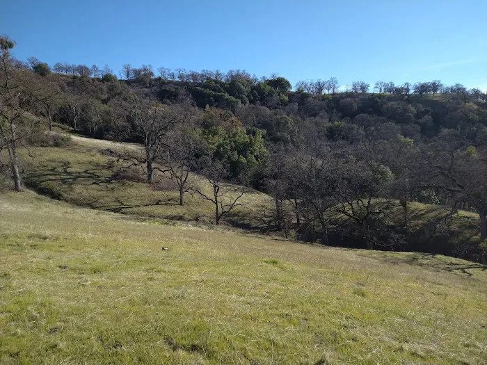 Doe Canyon Horse Camp Picture 2