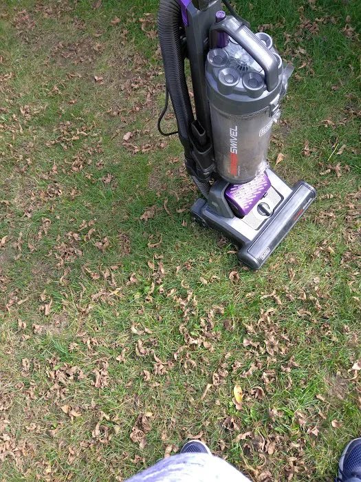 Zimmerman Terrace Picture 4