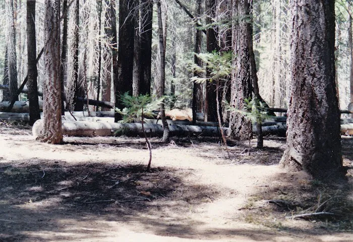 Merced Lake High Sierra Camp Picture 5