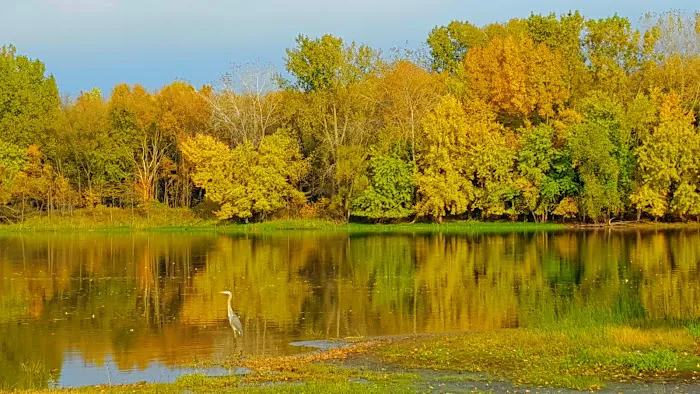 Mississippi Riverwood RV Park Min Rental One Month Picture 5