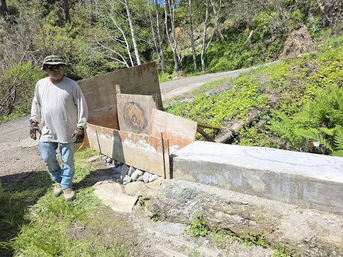 Timber Cove Boat Landing & Campground Picture 7