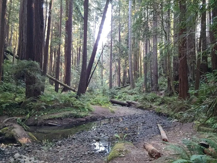 Stillwater Cove Campground Picture 3