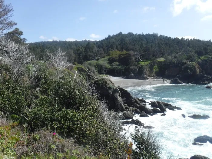 Stillwater Cove Campground Picture 8
