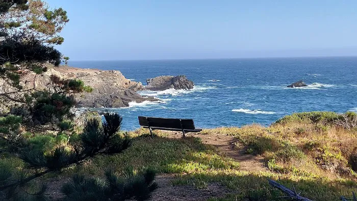 Ocean Cove Campground Picture 2