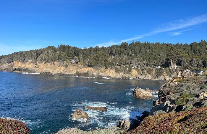 Ocean Cove Campground Picture 4