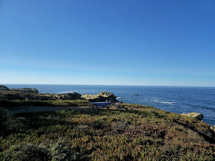 Ocean Cove Campground Picture 6