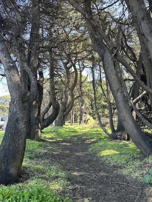 Ocean Cove Campground Picture 7
