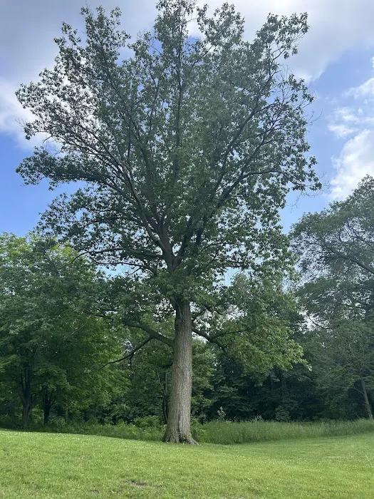 Rockford Riverview Estates Picture 6