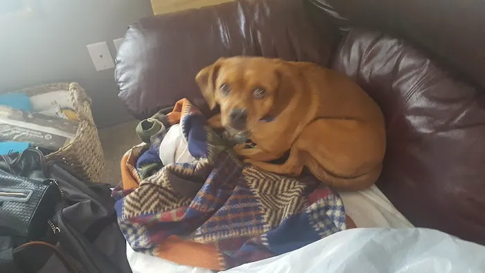 Rockford Riverview Estates Picture 5