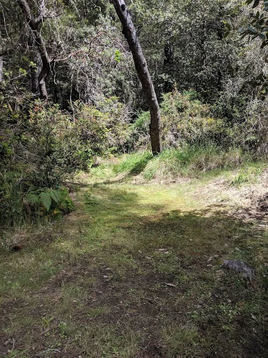 Woodside Campground Picture 9