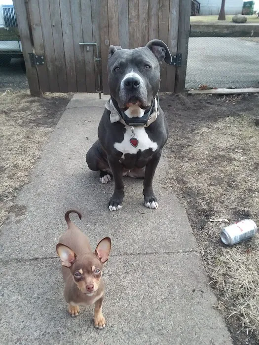 The Meadows MHC Picture 9