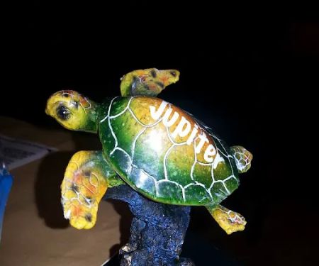 Buffalo Manor Mobile Home Park